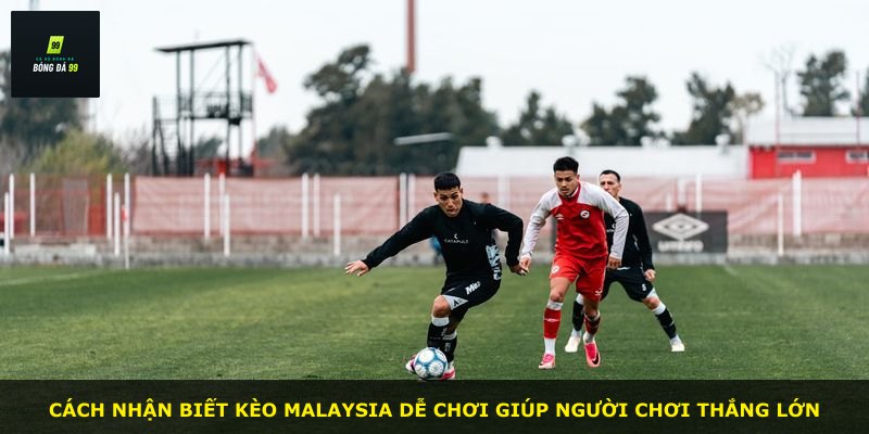 Cách nhận biết kèo Malaysia dễ chơi giúp người chơi thắng lớn