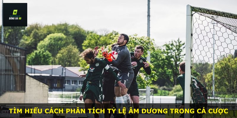 Tìm hiểu cách phân tích tỷ lệ âm dương trong cá cược