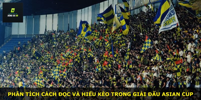 Phân tích cách đọc và hiểu kèo trong giải đấu Asian Cup
