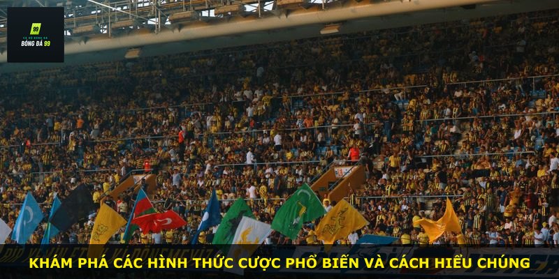 Khám phá các hình thức cược phổ biến và cách hiểu chúng