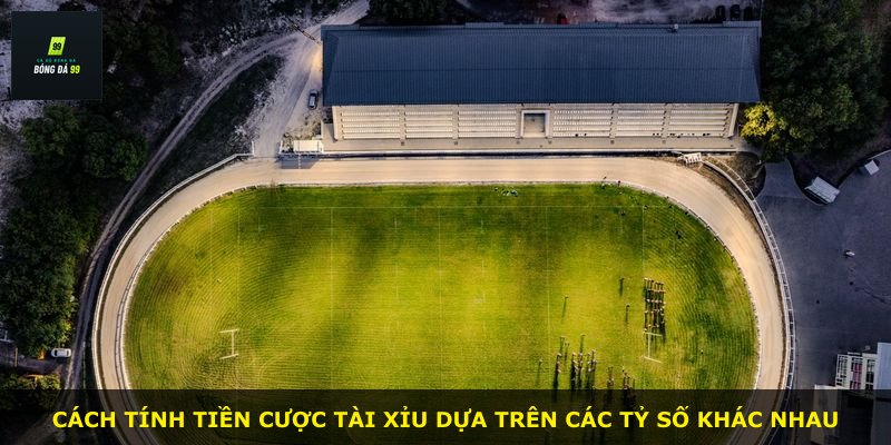Cách tính tiền cược tài xỉu dựa trên các tỷ số khác nhau