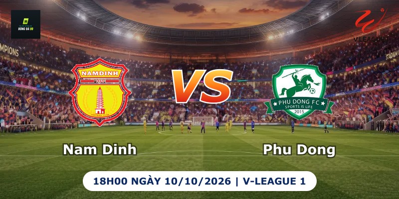 Nam Dinh vs Phu Dong